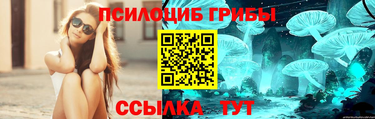 Псилоцибиновые грибы мухоморы  Вход с VPN  Амурск 