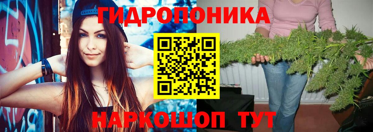 Каннабис семена Амурск